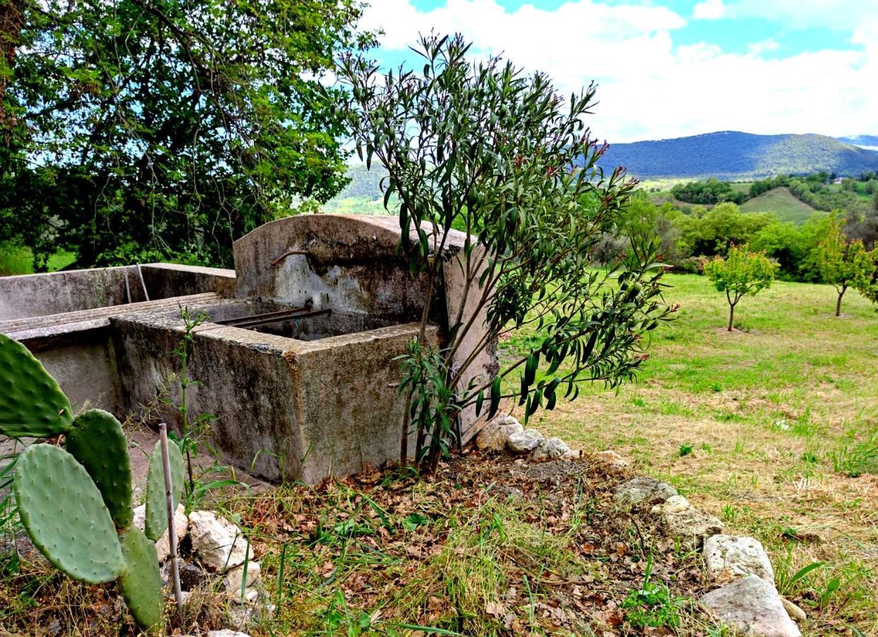 Ai Limiti • 67 • Stonehouse Guest House Palombaro Exterior photo